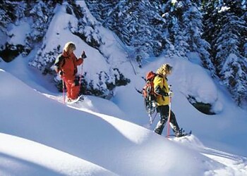 Offerta Dolomiti Super Premiere 4=3